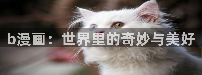 汗汗漫画网页入口：b漫画：世界里的奇妙与美好