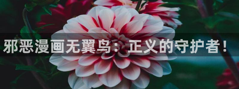 汗汗漫画免：邪恶漫画无翼鸟：正义的守护者！
