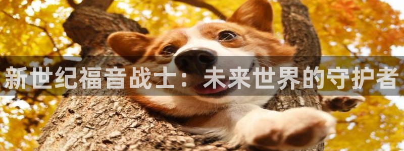 汗汗漫画和歪歪漫画sss：新世纪福音战士：未来世界的守护者