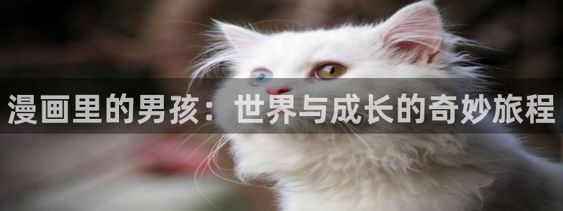 汗汗漫画免费视频：漫画里的男孩：世界与成长的奇妙旅程