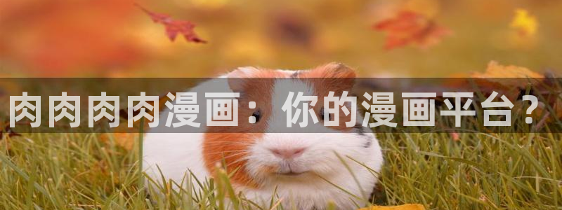 汗汗漫画免费漫画页面在线看：肉肉肉肉漫画：你的漫画平台？