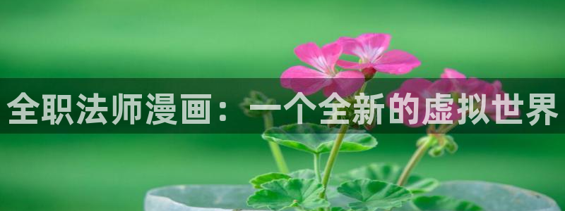 重考生汗汗漫画：全职法师漫画：一个全新的虚拟世界