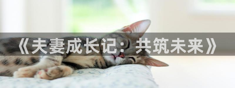 汗汗漫画免费观看页面看漫画下拉式：《夫妻成长记：共筑未来》