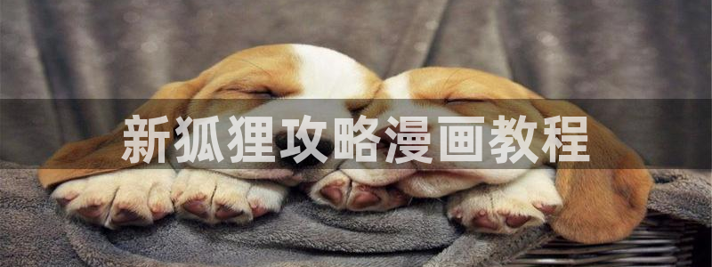 歪歪汗汗漫画sss在线看：新狐狸攻略漫画教程