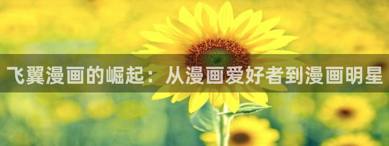 汗汗漫画全部：飞翼漫画的崛起：从漫画爱好者到漫画明星